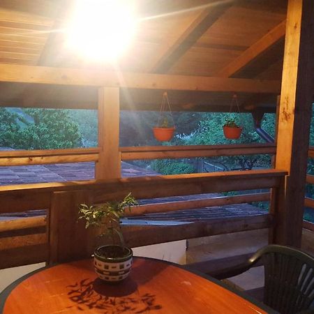 Studio Apartman Sajra Kulen Vakuf Dış mekan fotoğraf